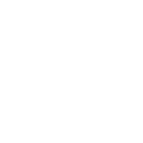 Salvador Caetano